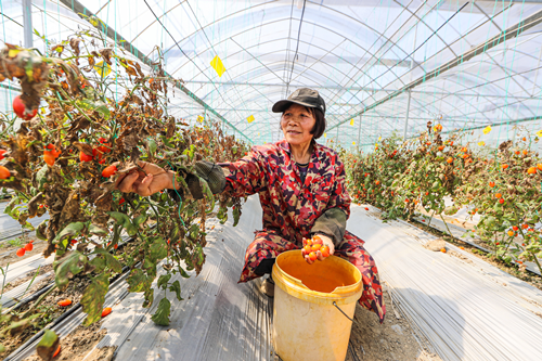 万家带您领略大江南北好“丰”景